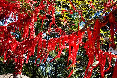 完美模拟出火星环境！我国科学家成功构建新一代火星大气模式