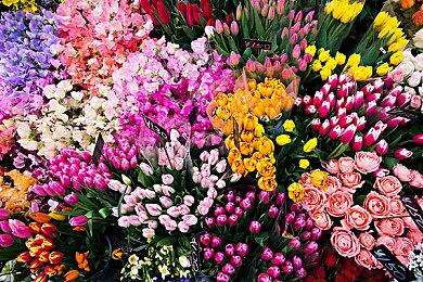 《绝地求生》已变为免费游戏 玩家担心外挂更猖狂