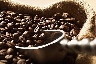 创意名作《啪塔砰》精神续作 《Ratatan》6月发布试玩